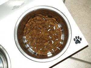 לגזור ולשמור: כללי ניקיון של קערות אוכל לכלבים